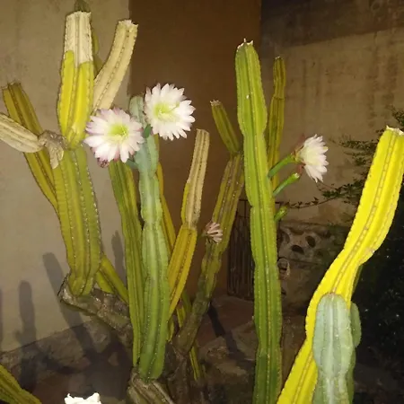 Affitto Nel Cuore Del Salento