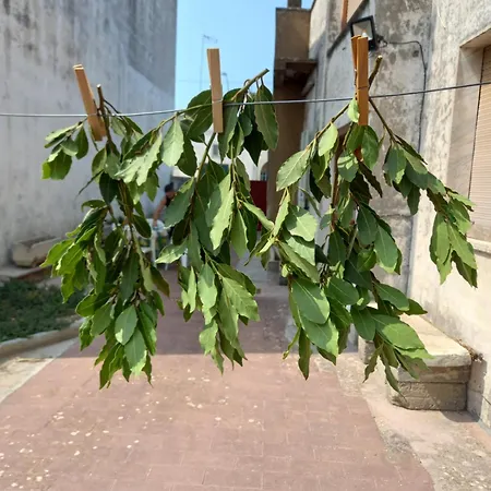 Séjour chez l'habitant Affitto Nel Cuore Del Salento