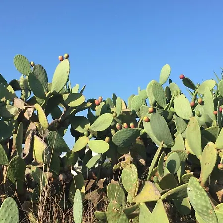 Affitto Nel Cuore Del Salento *